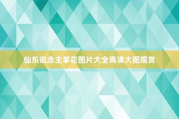 仙东说念主掌花图片大全高清大图观赏