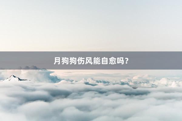 月狗狗伤风能自愈吗？