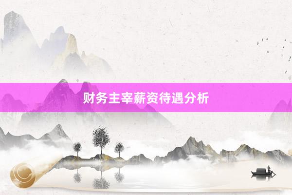财务主宰薪资待遇分析